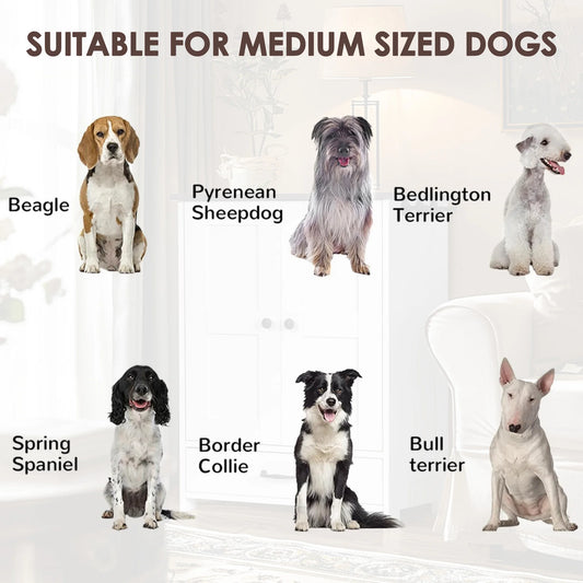 Pet Feeding Station with Detachable bowls