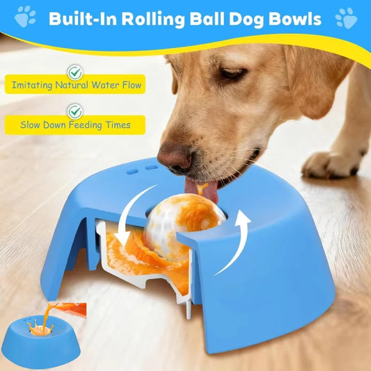 Slow Dog Feeder