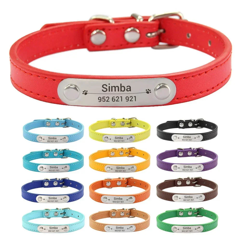 Personalized Dog/ Cat Collar