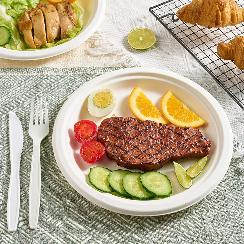 50-Pack 9-Inch Disposable Dinner Plates