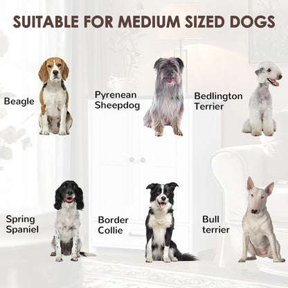 Pet Feeding Station with Detachable bowls